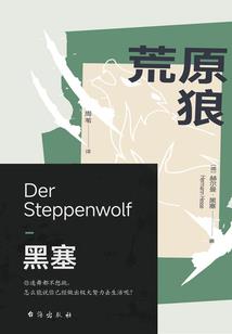 萋萋镜中花清世泪