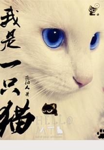 觅尘