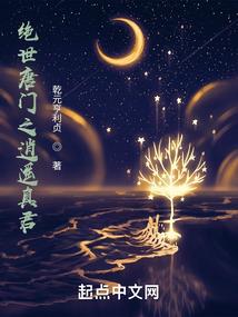 逆天仙路