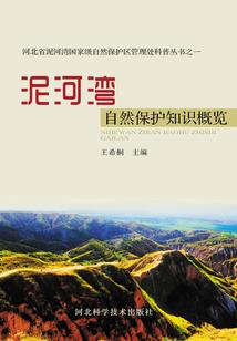 十万星辰之力