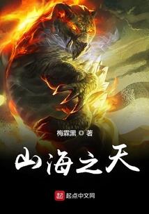 凤家小天才和腹黑侍卫