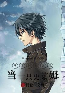 宠物小精灵之至尊冠军