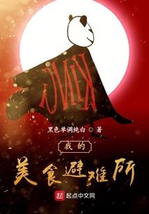 宠物小精灵之心曲