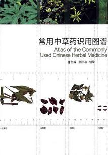 千古一帝系统