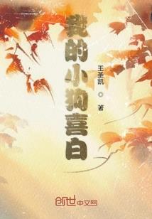 混乱喵星人