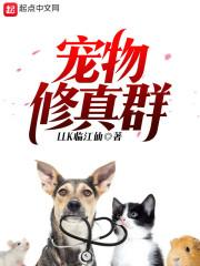 契约少女