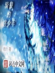 我的才貌女友