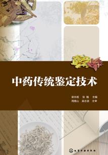 沉夜溱溱