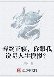 极品皇后追夫记