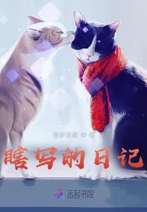 梦转神择