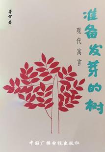 寻找纯净能源