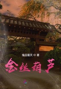 圣光彩冥阵