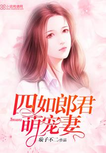 电脑奇人传