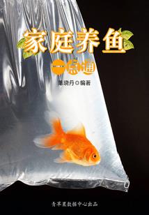 快穿：主神的回归之路
