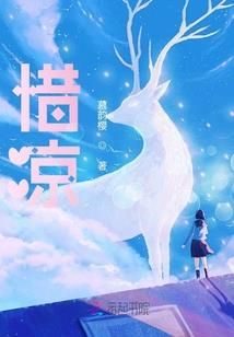 独行寻你
