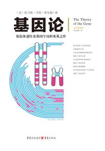 狼王续梦