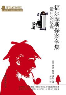 冰狼之石