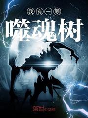 无限之流落者