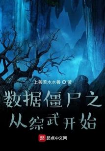 修罗兵王系统