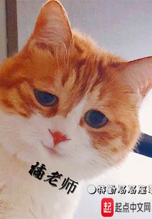 肥宅自强幻想