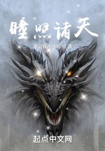 精灵宝可梦之永恒笔记本