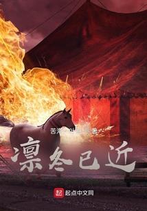 混乱之秩序