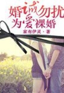一帘风月九重天