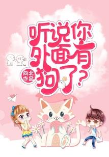 全能系统伴我身