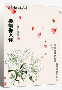 血肉都市