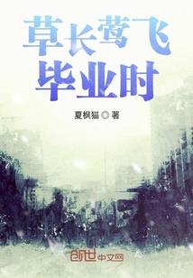 通界灵猫你别想跑