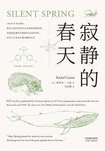 网游之乾坤破界
