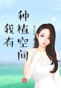 盗者人心