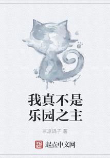 异世之魔法师莱毅