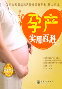 召唤师之幻龙