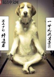 凹凸世界之乱来才是我的风格