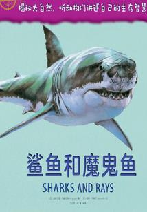 地球与灵魂游戏
