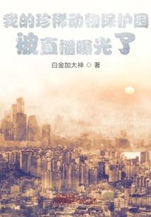 钻石岛开端