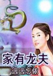 仲夏执叶