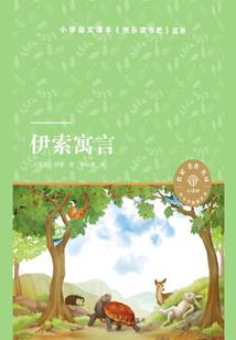 岚向时空之约