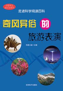 罗浮梦，风生醉