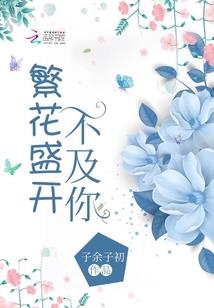 星际的精灵