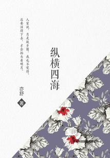 总统宠妻太高调