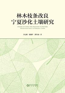 阵师传