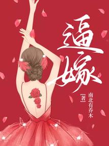 王普通复仇记