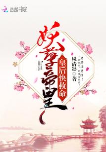 轮回天道之四神大陆