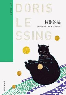 错误是一种美丽