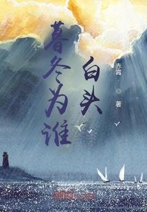 影视世界的圆梦家