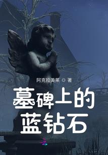 飞哥从军记