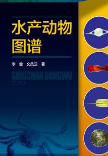 天玺地皇传