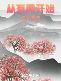 穿越之傲世庶妃